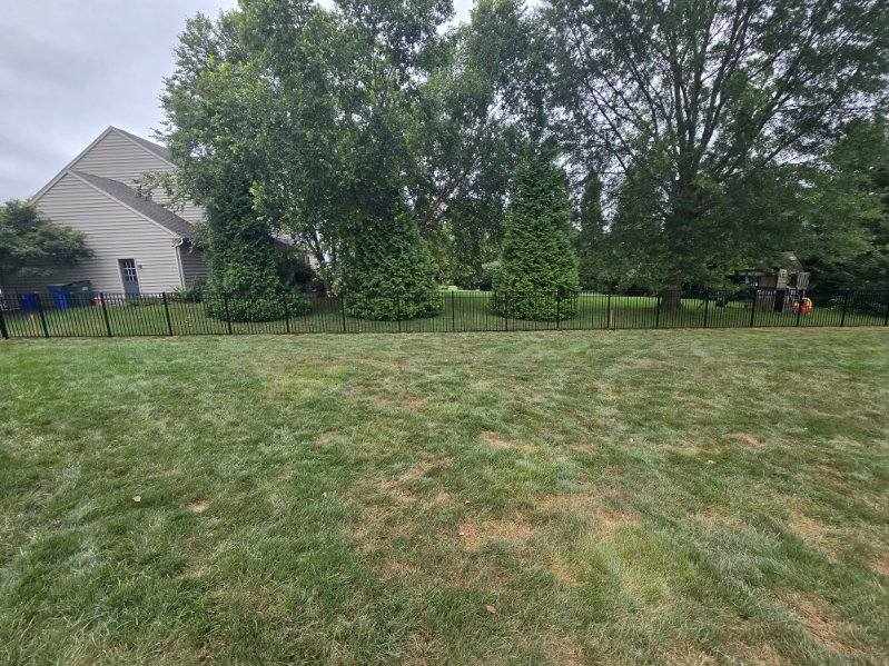 Black aluminum picket fence installed along a rear yard boundary