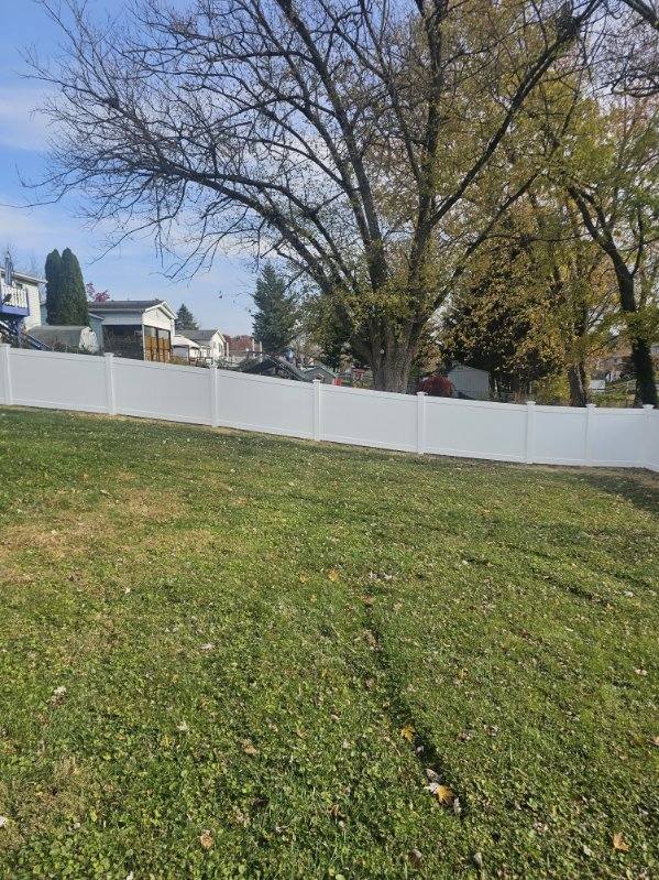 White vinyl privacy fence running under a mature tree in autumn, installed by Future Solutions Fence